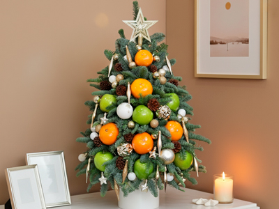 COMBO QUÀ TẶNG GIÁNG SINH 