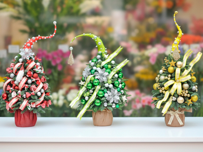 Bạn có biết nguồn gốc của cây thông Noel không?