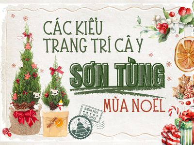 CÁC KIỂU TRANG TRÍ CÂY SƠN TÙNG MÙA NOEL VÀ GỢI Ý KÍCH THƯỚC PHỔ BIẾN