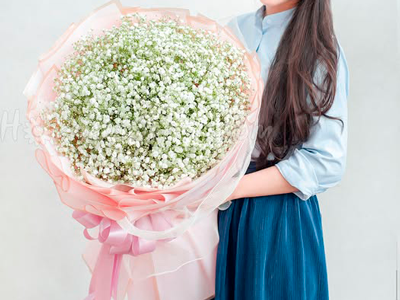 BỎ TÚI 4 CÁCH GIỮ KHÔ HOA BABY ĐƠN GIẢN TẠI NHÀ, GIỮ MÀU BỀN ĐẸP NHẤT