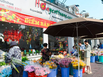 Tránh ngay 10 sai lầm này để có một góc Tết rực rỡ, hoa tươi lâu bất ngờ