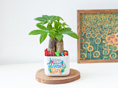 Cách cấp cứu giúp cây kim ngân khi bị vàng lá hướng dẫn chi tiết từ A–Z cho kim ngân củ