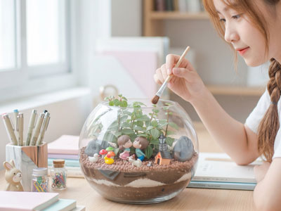 TERRARIUM MỞ: TIỂU CẢNH XANH CHO NGƯỜI BẬN RỘN, CÁCH CHỌN CÂY VÀ CHĂM SÓC ĐÚNG CHUẨN