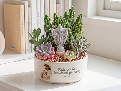 Chậu cây Công giáo - Quà tặng đức tin ý nghĩa mỗi ngày