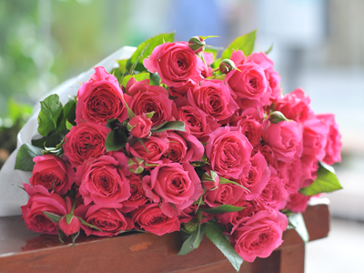 Top 10 Giống Hoa Hồng Chùm Nhập Khẩu Mới Nhất Tại Dalat.flowers