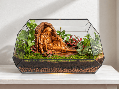 Terrarium Công Giáo: Ý nghĩa, cách đặt và hướng dẫn chăm sóc